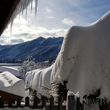 Ferienwohnungen Am See _ Hinterseer Schliersee Exteriör bild